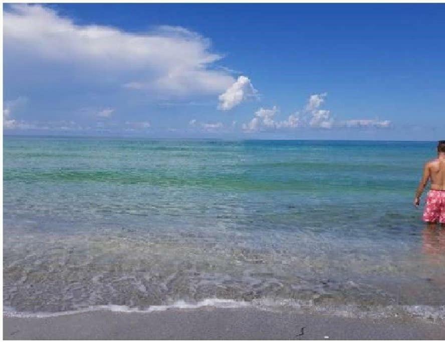 The Beach On Longboat Key Kültér fotó